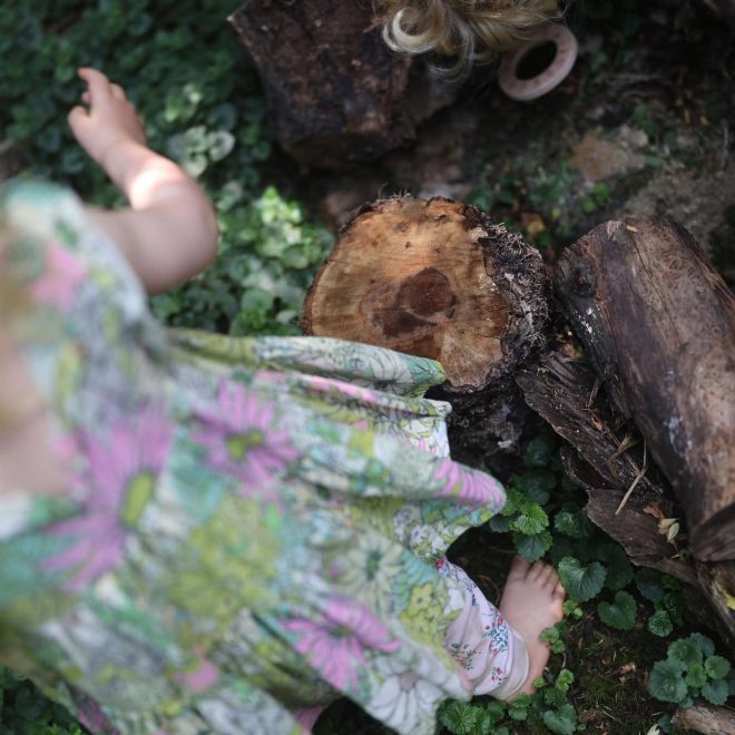 Young child exploring woodland with stacked logs and green plants.