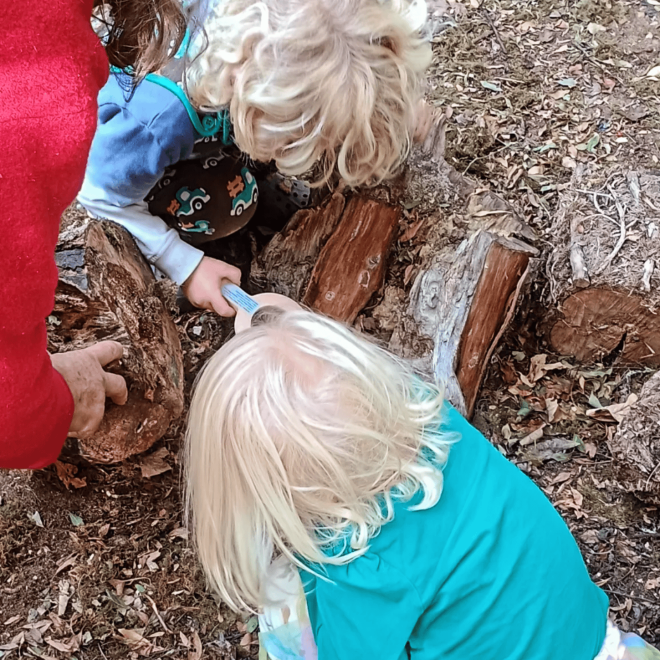 Children exploring nature and playing outdoors with logs and natural elements.