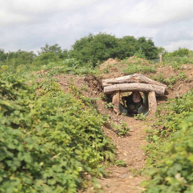 Sunlit woodland path with a natural wooden play tunnel for children’s outdoor adventures.